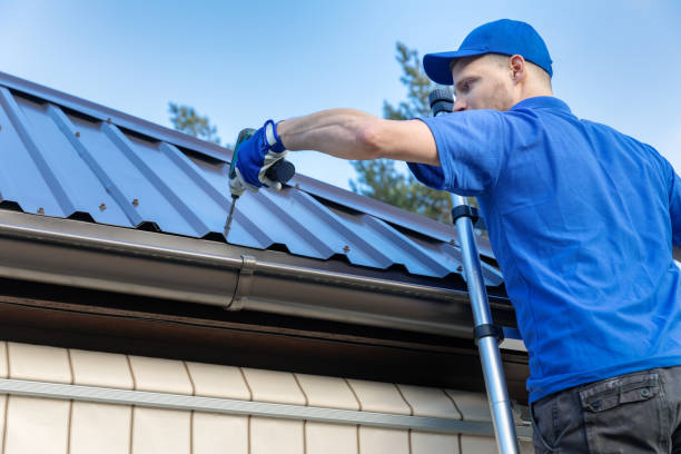 Best Gutter Installation and Repair  in Crystal, MN