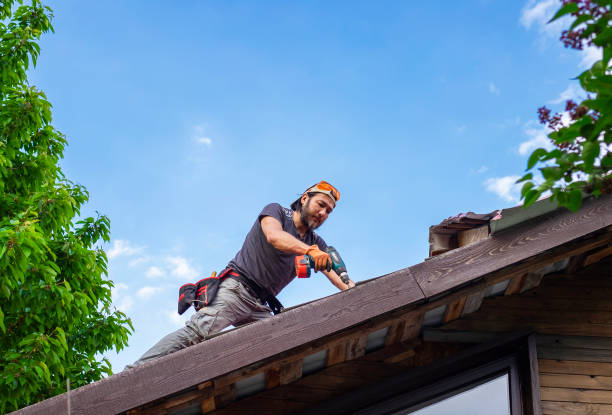 Best Roof Maintenance and Cleaning  in Crystal, MN