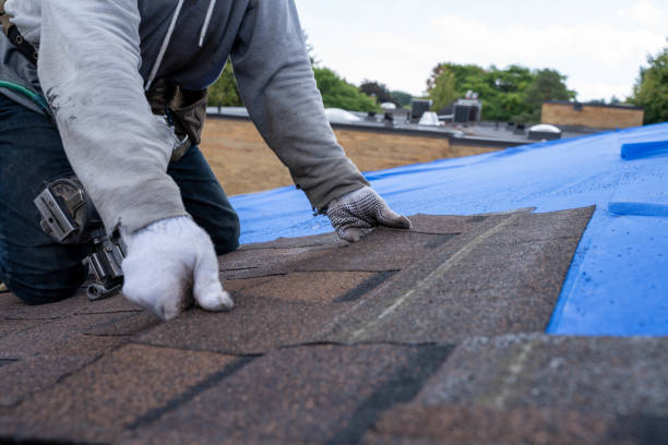 Best Roof Leak Repair  in Crystal, MN