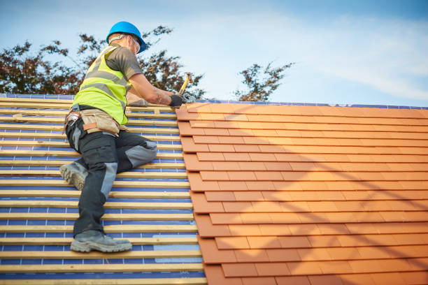 Best Roof Coating and Sealing  in Crystal, MN